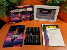 Brain Lord (Super Nintendo Entertainment System)
