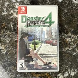 Disaster Report (Nintendo Switch)