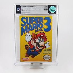 Nintendo Entertainment System
