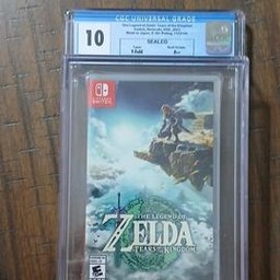 The Legend of Zelda: Tears of the Kingdom (Nintendo Switch)