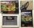 Cannondale Cup (Super Nintendo Entertainment System)