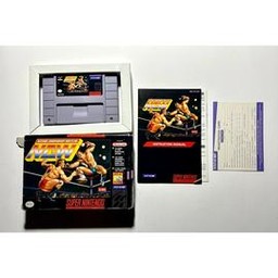Natsume Championship Wrestling (Super Nintendo Entertainment System)