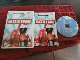 Don King Boxing (Nintendo Wii)