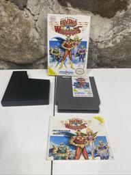 Flying Warriors (Nintendo Entertainment System)