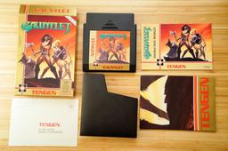 Gauntlet (Unlicensed) (Nintendo Entertainment System)