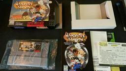 Harvest Moon (Super Nintendo Entertainment System)