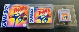 Raging Fighter (Nintendo Game Boy)