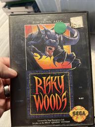 Risky Woods (Sega Genesis)