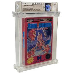 Tag Team Wrestling (5 Screw) (Nintendo Entertainment System)