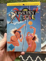 Venice Beach Volleyball (Nintendo Entertainment System)